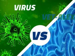 صورة مقارنة بين الفيروسات والبكتيريا