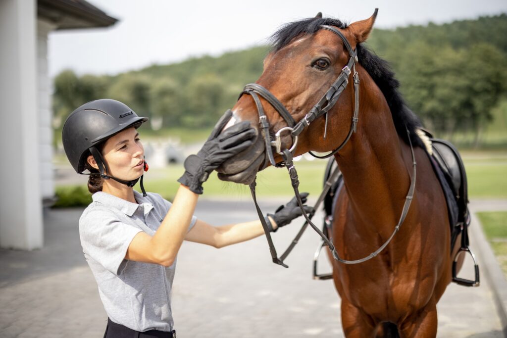 Female horseman with Thoroughbred horse in stable