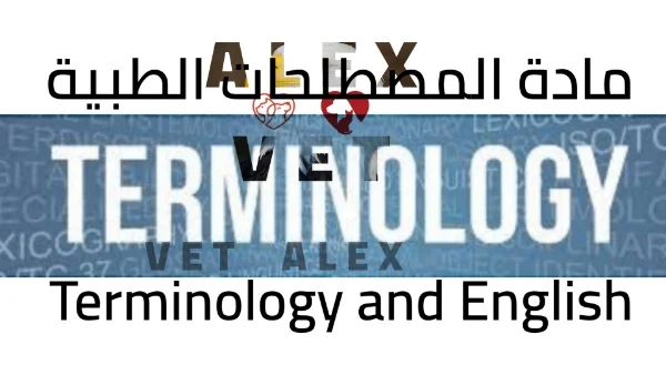 شرح المصطلحات الطبية الأساسية medical terminology