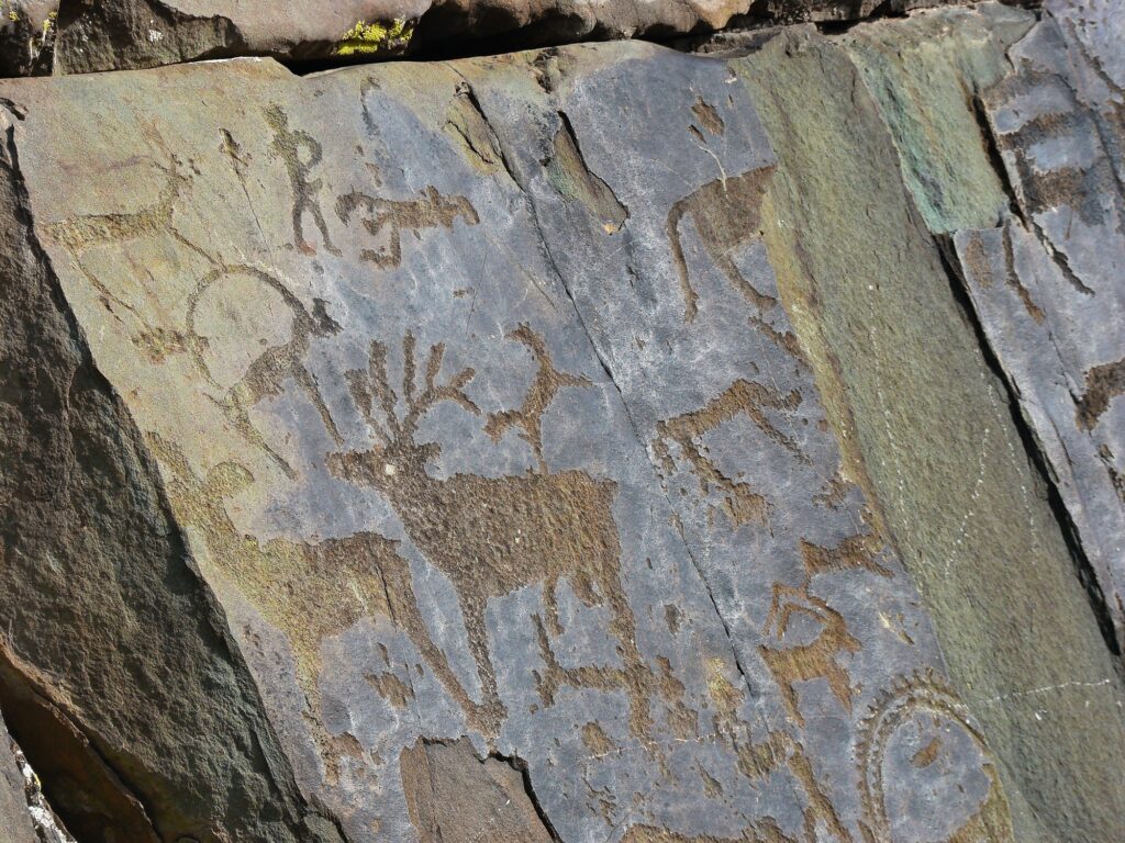 Stones with of people and animals petroglyphs