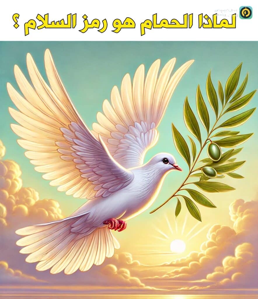 الحمام رمز السلام